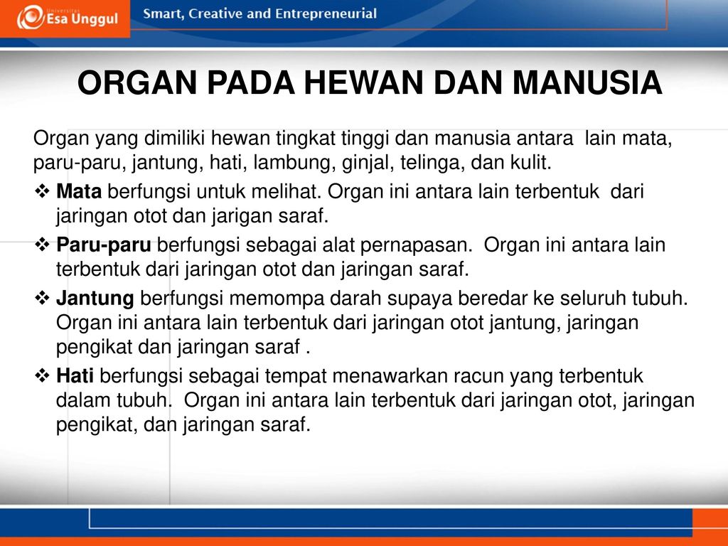 Struktur Sel Dan Fungsinya Pertemuan Harlinda Syofyan S Si M Pd